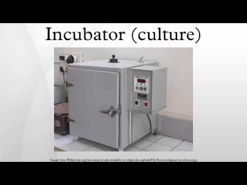 queue cell culture incubator manual