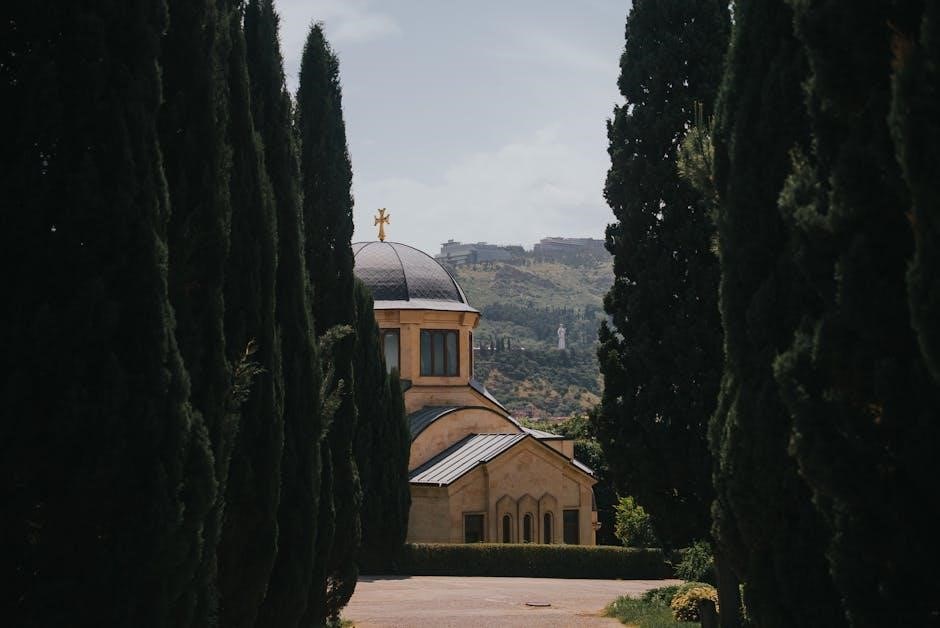 pexels-photo-32387993
